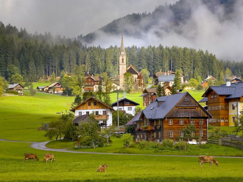 Пазл Австрия деревня лес