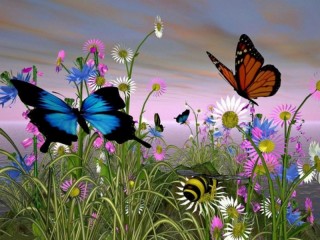Пазл «Бабочки»