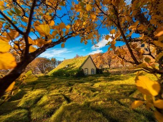 Пазл Исландская осень