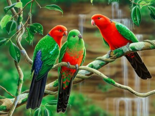 Пазл «Королевские попугаи»