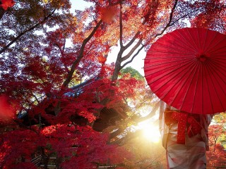 Пазл «Красный зонт»