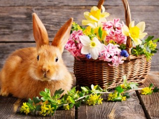 Пазл «Кролик и цветы»