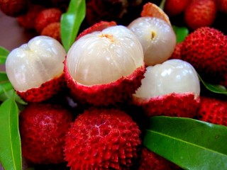 Пазл «Lychee fruit»