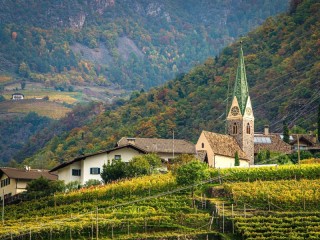 Пазл «Messnerhof winery»