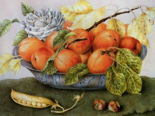 Пазл «Натюрморт с абрикосами»