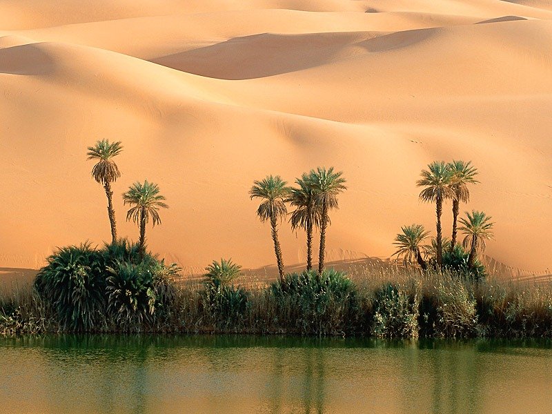 Пазл Оазис в пустыне