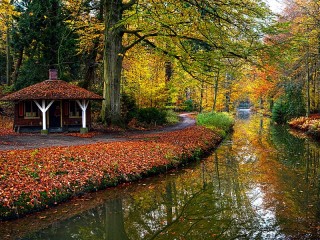 Пазл «Осенний парк»