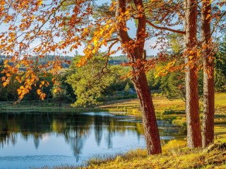 Пазл «Осенний пейзаж»