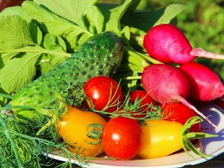 Пазл «Овощи и зелень»