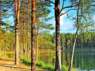 Пазл «Озеро в лесу»