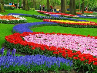 Пазл «Парк цветов»