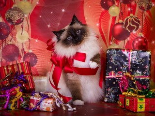 Пазл «Подарочки для кошки»