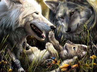 Пазл «Семья волков»
