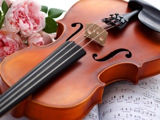 Пазл «Скрипка и ноты»