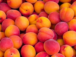 Пазл «Сочные абрикосы»