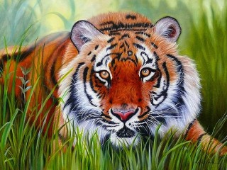 Пазл «Тигр в траве»