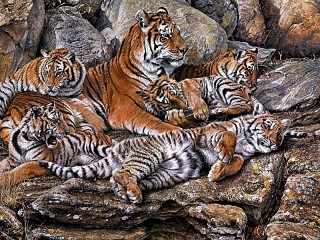 Пазл «Тигриная семья»