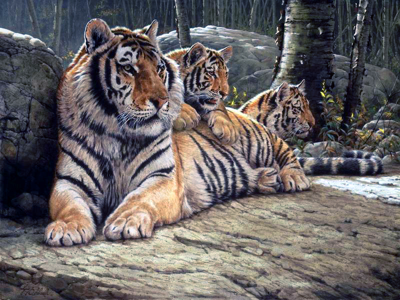 Пазл Тигрица с тигрятами