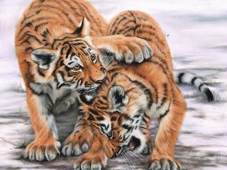 Пазл «Тигрята»