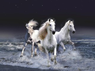 Пазл «Три белых коня»