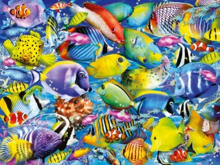 Пазл «Тропические рыбки»