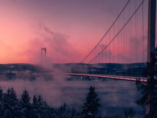 Пазл «Туман над мостом»