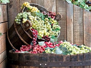 Пазл «Урожай винограда»