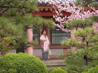 Пазл «В японском саду»
