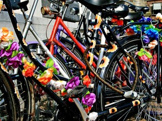Пазл «Велосипеды на празднике»