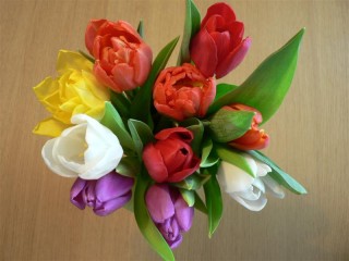 Пазл «Букет тюльпанов»