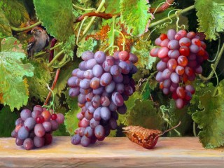 Пазл «Виноград и воробей»