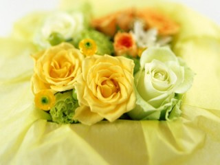 Пазл «Желтые и белые розы»