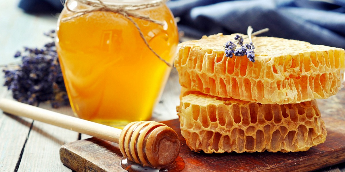 Можно ли мед во время поста
