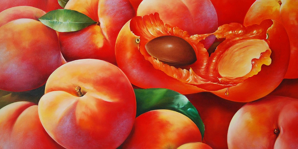 Персик форма женского органа. Персики фон. Пазлы персик. Картина персики на дереве. Персик красками.